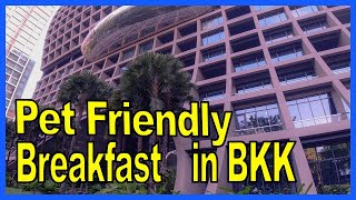 Pet friendly Breakfast Craft Restaurant at Kimpton MaaLai Hotel Bangkok [upl. by Adnilab960]