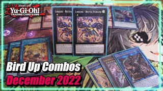 YuGiOh Lyrilusc TriBrigade Combos You NEED to Know Post December 2022 Forbidden amp Limited List [upl. by Kingdon]