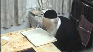 Rabbi Moreinu Ha Rav Elyashiv Shtaigging  Learning  Rare Video Footage [upl. by Ahsiloc]