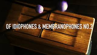 Of Idiophones amp Membranophones No 2 [upl. by Deni]