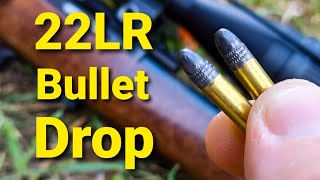 22LR Bullet Drop  Demonstrated and Explained [upl. by Peper744]