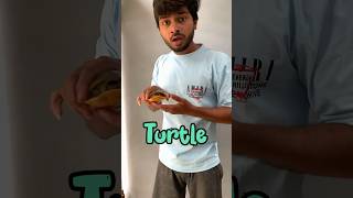 Humre Ghr Aya Mehmaan 🤩  minivlog 115 turtle shorts trending [upl. by Juno]