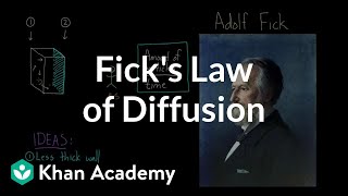 Ficks law of diffusion  Respiratory system physiology  NCLEXRN  Khan Academy [upl. by Biamonte912]