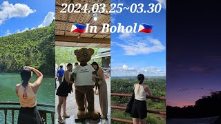 Bohol Vlog epi 4🇵🇭 4박 5일 보홀여행  보홀 브이로그 🌱  육상투어  로복강  안경원숭이  초콜릿힐  반디불 투어  졸리비 [upl. by Ulises]