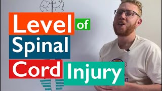 Spinal Cord Injury  Levels of injury [upl. by Annawit]