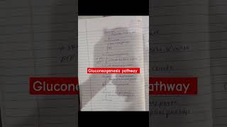 Gluconeogenesis pathway biochemistry shorts viralshorts trendingshorts shortsvideo shortsfeed [upl. by Kinson39]