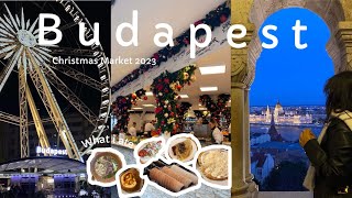 BUDAPEST VLOG  Christmas Markets  Miika’s Diaries [upl. by Attolrahc235]