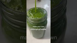 make your own chlorophyll water howto [upl. by Levesque288]