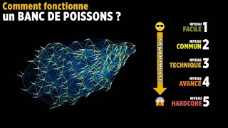 En 5 niveaux de difficulté  comment fonctionne un banc de poissons [upl. by Terrie]