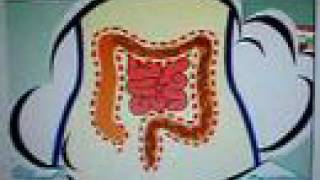 What is Colon Hydrotherapy HSK8300 [upl. by Janenna656]