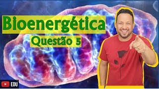 Bioenergética  Questão 5  Biologia com o Tubarão [upl. by Ynffit]