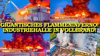 GIGANTISCHES FLAMMENINFERNO  INDUSTRIEHALLE IN VOLLBRAND  METERHOHE FLAMMEN  FEUERWEHR [upl. by Lauryn]