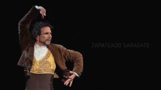 ZAPATEADO DE SARASATE Homenaje a Antonio Ruiz Soler Ballet Nacional de España [upl. by Iinde]