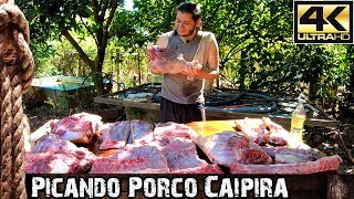 Picando Porco Caipira Forma Tradicional Familiar [upl. by Kolva63]