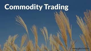 How Commodity Market works [upl. by Ilbert]