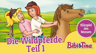 Bibi und Tina Die Wildpferde  Teil 1 Folge 13  Hörspiel des Monats das ZWEITPLATZIERTE Mai [upl. by Orling]