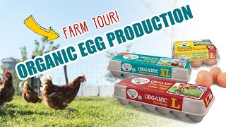 Organic Egg Farm Tours  Organic Valley [upl. by Riegel893]