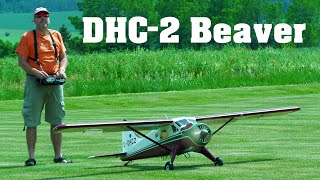 DHC2 Beaver  scale RC aircraft  4K  Trebic 2022 [upl. by Ahsila]