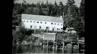 Vintage Scenes of Alaska Fish Cannery 1930s [upl. by Granger771]