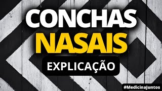 OSSOS DA FACE  CONCHAS NASAIS [upl. by Nonnelg]