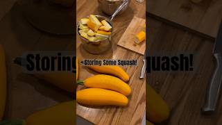 Storing Some Yellow Squash shorts garden squash food storage farming grow homestead summer [upl. by Varney]