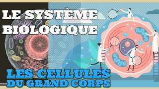 Tout savoir sur la cellule et le système biologique dans sa diversité [upl. by Mulloy315]