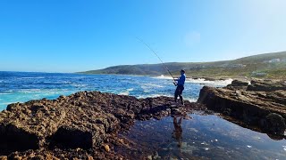 I had a tough day fishing for Galjoen and Red Roman in a flat and clean sea [upl. by Liliane540]