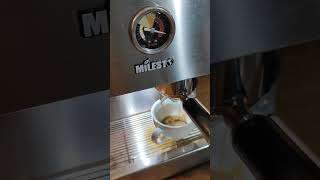 Quick brewing Milesto EM18 E3 Coffee Espresso Machine espresso machine [upl. by Elysia]