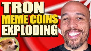 Top 3 Tron Meme Coin Secrets You Need to Know Before Trading [upl. by Othello]