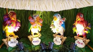 quotLexis Paradise Birdsquot AKA The Enchanted Tiki Room Birds via Furreal Squawkers Mccaw [upl. by Aerdnas689]