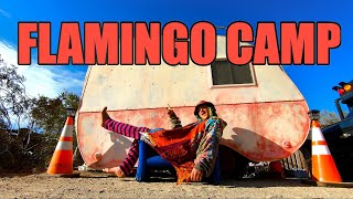 SLAB CITY 2023  Flamingo Camp [upl. by Nyletak]