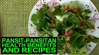 Pansitpansitan Health Benefits And Recipes [upl. by Nariko]