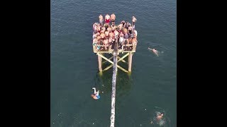 Major wipeouts at the Greasy Pole Contest in Gloucester [upl. by Hourihan]