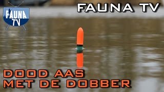 Fauna TV  Snoeken met dood aas onder de dobber [upl. by Fonsie]