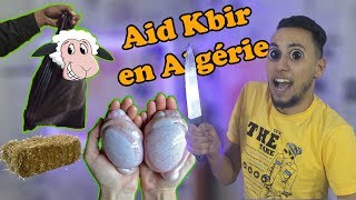 Hichem DN  Aïd Kbir en Algérie  عيد الأضحى في الجزائر [upl. by Haden738]