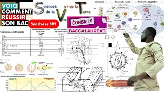 SVT 2024Sujet susceptiblesResumé de coursComment réussir son BAC [upl. by Brady263]