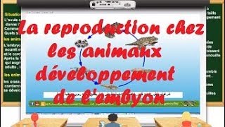 la reproduction chez les animaux  développement de lembryon [upl. by Niemad]