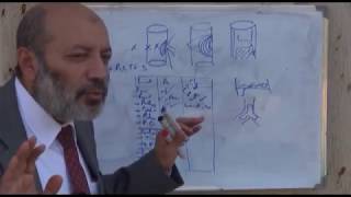 Arterial Disorders 1  Prof Dr Aly Hassib [upl. by Udelle157]