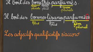 Les adjectifs qualificatifs [upl. by Hagile]