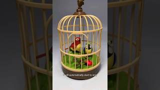 Beautiful Birds toy with music singing gadgets ytshorts [upl. by Josee]