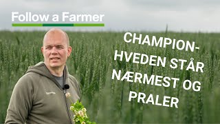 Sprøjten kørte 52 timer i træk over 750 hektar  Follow a Farmer Agrifos IS S3E4 [upl. by Tibbetts]