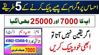 Ehsaas Program Ke Paise Kaise Check Karen  BISP Payment Check By CNIC  7000 Check Karne Ka Tarika [upl. by Ailen379]