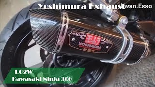 Top 8 Full Exhaust Sound Kawasaki Ninja 300  Akrapovic LeoVince Arrow IXIL Two Brothers [upl. by Richia553]