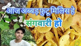 masrum ki sabji kaise banaye futu ki sabji masrom video cg vlogger video [upl. by Favrot]