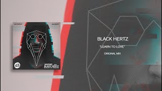 Black Hertz  Learn to love Original Mix [upl. by Turnheim726]