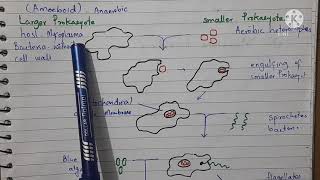 Endosymbiotic Hypothesis of Evolution of Eukaryotes from Prokaryotes [upl. by Tristan483]