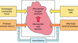 Using Vasodilators to manage Heart Failure [upl. by Rimma]