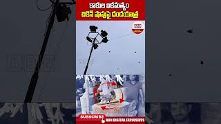 Ambedkar Konaseema  కాకుల ఐకమత్యం చికెన్ షాపుపై దండయాత్ర  Crows chickenshop abndigital [upl. by Diego]