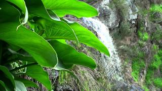 Ingalalla Waterfalls  Yankalilla South Australia [upl. by Tharp]