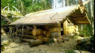 Off Grid Log Cabin Built by One Man Laying ExtraThick Logs Solo [upl. by Nylssej]